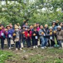 중계본동주민센터 이미지