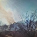 봉화남성 이미지