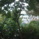 GS25원주원동점 이미지