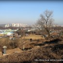 정원용 묘 이미지