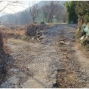 손덕문 공인중개사사무소 이미지