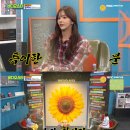 풍수지리 이미지