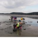 마시안어촌체험휴양마을 이미지