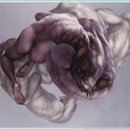 조병유 | 무주군-무주한풍루, 호생관 최북 미술관, 김환태 문학관