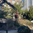 미래환경 | [당진/충남] 산더미 같은 쓰레기 고민 끝 당진산업폐기물처리 미래환경 이용후기