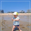 왕산 해수욕장에서~~ 이미지