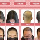 경충대로2092번길 이미지