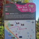 망원정마당 공중화장실 | 서울 합정 데이트 코스 망원 초록 길에서 망원정까지