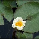 산과여울 이미지