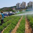 광남2동-1 이미지