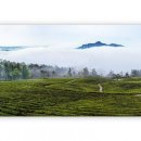 덕진목장 이미지