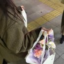 빠다집 | [대구 봉산동 맛집] 발코니밀즈ㅣ대구 반월당 분위기 좋은 양식집 추천 ㅣ빠다롤뺑프랑스 방문