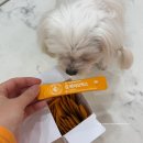 메디허브펫