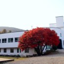 아우내공동체 이미지