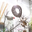 파크 블러썸 이미지