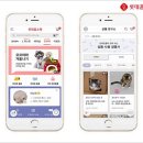 도그파파 아시아경제