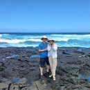 아일랜드 이미지