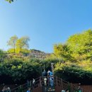 중앙로 메타세콰이아길 이미지