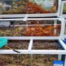 한마음직판장 이미지