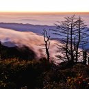 청산 - 광산구 | 청산