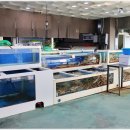 포항횟집 이미지