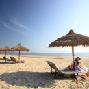 태평태양광발전소 이미지