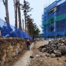 신효동-10 이미지