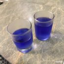 바 사육공(BAR 460) | 푸켓 칼리마 리조트 Romance Room with Ocean View 숙박 솔직 후기 - 오션뷰, 조식, 인피티니풀, 피트니스