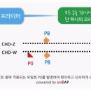 모든 조류 성 감별 업체 -충북대의 애니답 이미지