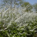 동작충효길 3코스 한강나들길 이미지