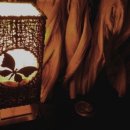 나비공간 이미지