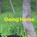 Going Home 이미지