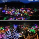 동윤농장 | (축제나들이) 3/27 허브아일랜드 &#34;불빛동화축제&#34;를 다녀와서..