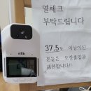미스터샤크 유도멀티짐 이미지