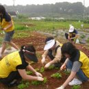 지우농장 이미지