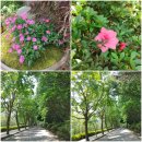 [2024.05.22]국립전주박물관1.선비서예실부터~~