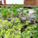 송담가든 이미지