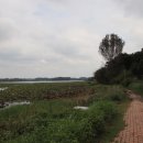 능제근린공원 이미지