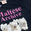 와이케이 더블유 이미지