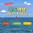 끼룩 스튜디오 | [묵호/동해] 묵호 당일치기&amp;1박2일 여행 최종정리본 (여행일정, 혼자여행, ktx예매 꿀팁, 맛집, 카페...