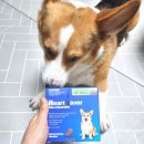 (주)중앙바이오텍 이미지