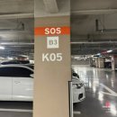 금천 어린이집 | 28개월 아기랑 금천구 아쿠아밸리 가산 실내 키즈카페 평일 방문 후기