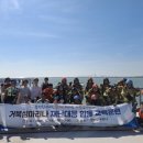 거북섬마리나