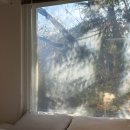 스테이사계 | [스테이사계] 가을과 잘 어울리는 담양 숙소 스테이사계 B04 후기