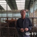 옥천축산 이미지