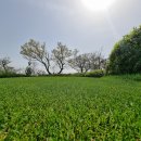 테디벨리골프장 4 이미지