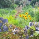 태조농장 이미지