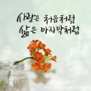 북한에 김소월, 남한의 박목월 ㅡ그의 사랑이야기 이미지