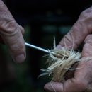 에프와이에스 골프 이미지