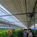 세이보석 이미지